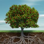 Planted for a Purpose: To Bear God's Fruit