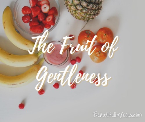 Growing and Cultivating the Fruit of Gentleness