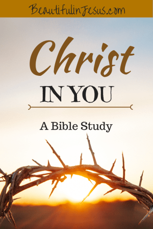 A Bible Study on the Meaning of Christ in You