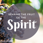 A Bible study on the relationship between abiding in Christ and bearing the fruit of the Holy Spirit