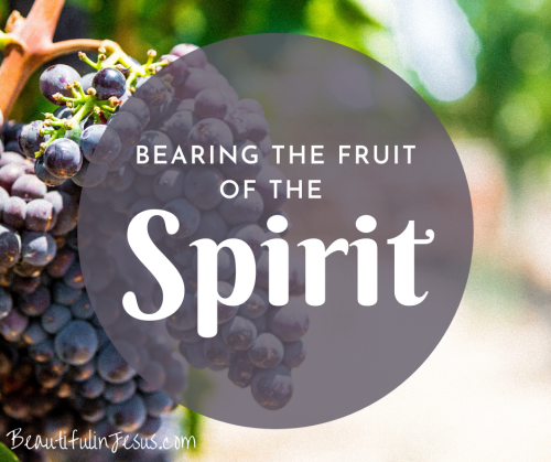 A Bible study on the relationship between abiding in Christ and bearing the fruit of the Holy Spirit