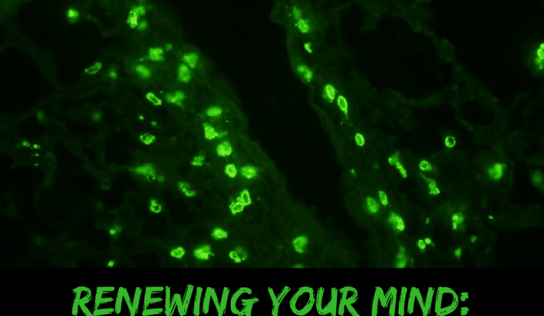 Renewing your mind: my mast cell analogy