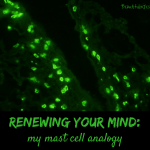 Renewing your mind: my mast cell analogy