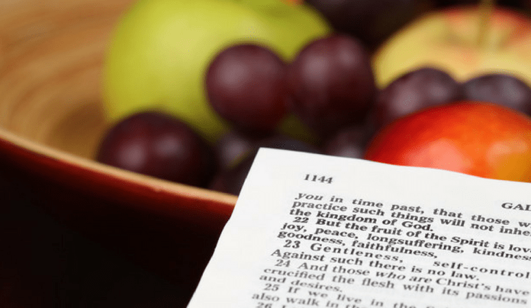 Beauty in Christ: The Fruit of the Spirit