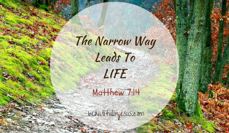 Strait Gate and Narrow Way: The Way to Eternal Life