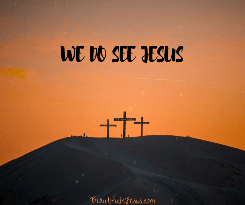 We Do See Jesus: Our Source of Victory: A Bible Study on Hebrews 2:9